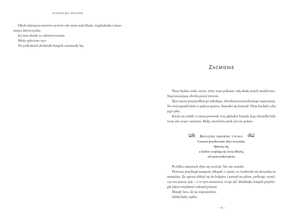 Złodziejka książek - tantis.pl