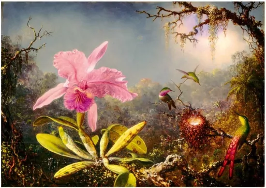 Puzzle 1000. Orchidea Cattleya i trzy kolibry. 60097