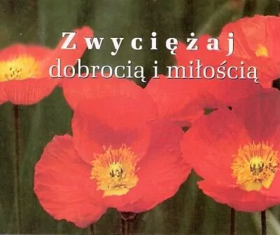 Zwyciężaj dobrocią i miłością. Perełka 193 - tantis.pl