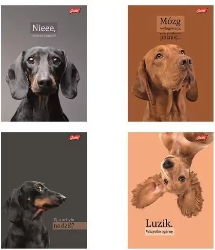 Zeszyt A5/60K kratka Doggy Moods (10szt) - tantis.pl