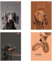 Zeszyt A5/60K kratka Doggy Moods (10szt) - tantis.pl