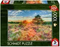 Puzzle PQ 1000 Zachód słońca na wrzosowisku G3 - tantis.pl