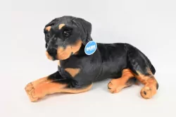 Pies rottweiler 47cm