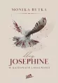 Dług Josephine. W kajdanach lojalności - tantis.pl