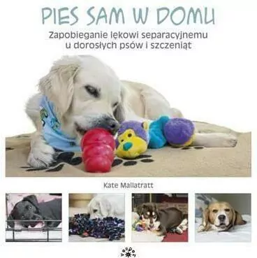 Pies sam w domu. Zapobieganie lękowi separacyjnemu - tantis.pl