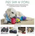 Pies sam w domu. Zapobieganie lękowi separacyjnemu - tantis.pl