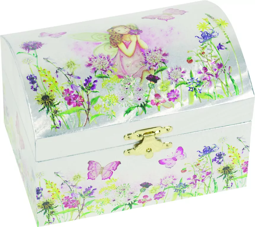 Pozytywka. Łąkowa wróżka - tantis.pl