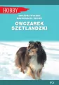 Owczarek szetlandzki - tantis.pl