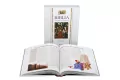 Biblia opowiedziana dzieciom. Stary i Nowy Testament - tantis.pl