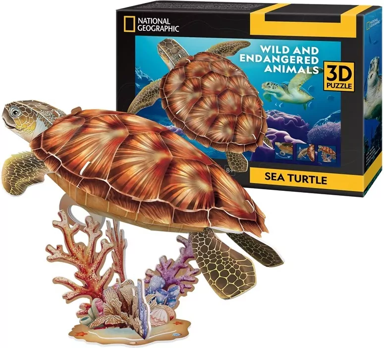 Cubic Fun. Puzzle 3D. Żółw Wodny - tantis.pl