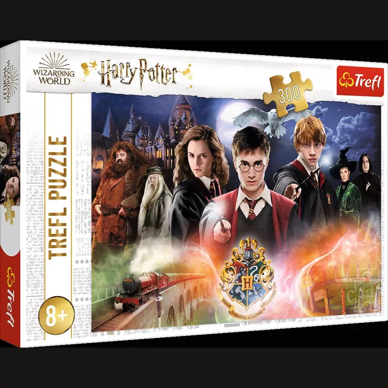 Tajemniczy Harry Potter 23001. Puzzle 300 elementów - tantis.pl
