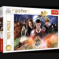 Tajemniczy Harry Potter 23001. Puzzle 300 elementów - tantis.pl
