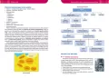 Repetytorium 2023. Historia - tantis.pl