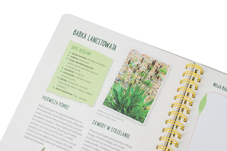 Mój pierwszy zielnik. Zbieram kwiaty, liście i trawy - tantis.pl