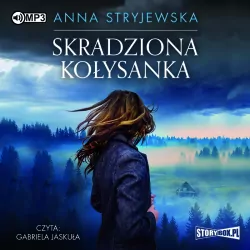 Skradziona kołysanka audiobook