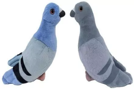 Gołąb 22cm MIX - tantis.pl