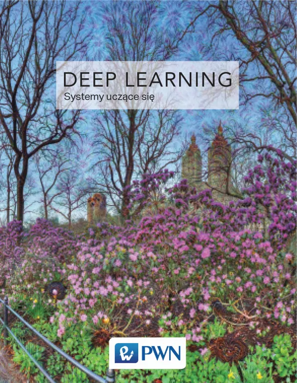 Deep Learning. Współczesne systemy uczące się - tantis.pl