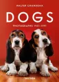 Dogs. Photographs 1941–1991 - tantis.pl