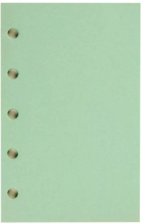 Wkład do organizera M Czysta zielona ANTRA - tantis.pl