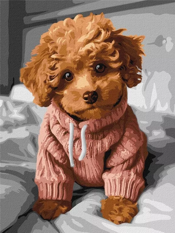 Malowanie po numerach. Magiczny Maltipoo 30x40cm - tantis.pl