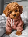 Malowanie po numerach. Magiczny Maltipoo 30x40cm - tantis.pl