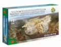 Mały konstruktor - Pustynna Burza Goliath ALEX - tantis.pl