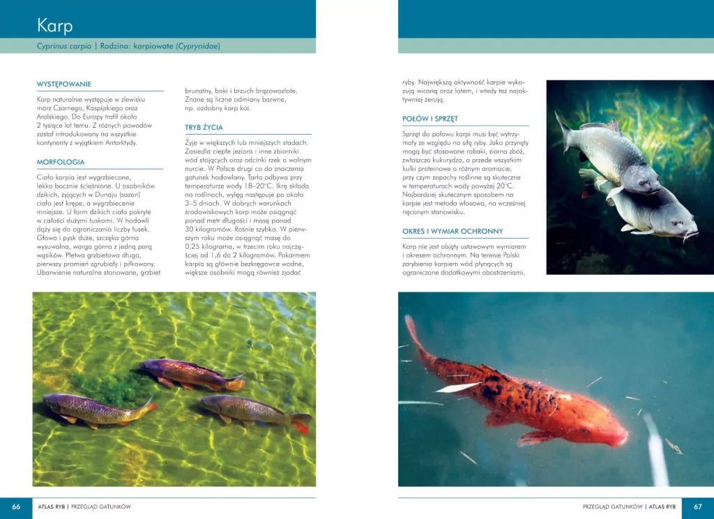 Atlas ryb polskich - tantis.pl