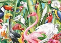 Puzzle 500 Rajskie ptaki TREFL - tantis.pl