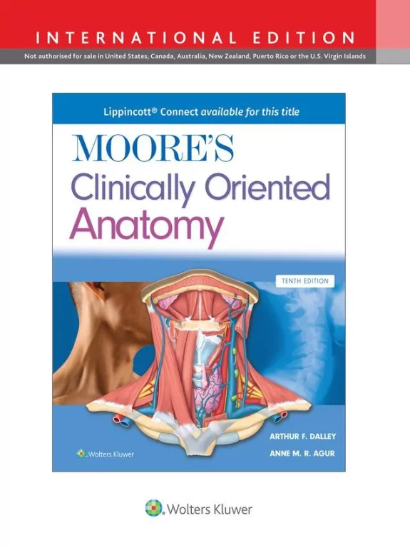 Moore's Clinically Oriented Anatomy - tantis.pl