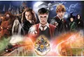 Tajemniczy Harry Potter 23001. Puzzle 300 elementów - tantis.pl