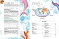 Zadziwiające zwierzęta świata. Atlas bioróżnorodności - tantis.pl