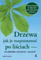 Drzewa, jak je rozpoznawać po liściach - tantis.pl