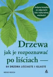 Drzewa, jak je rozpoznawać po liściach