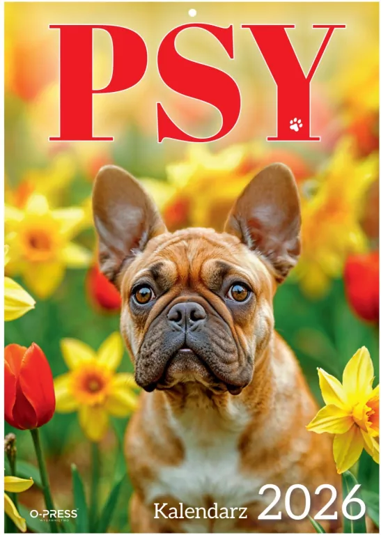 Kalendarz 2026 A4 Wieloplanszowy Psy - tantis.pl