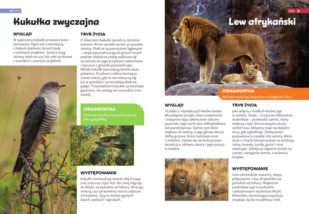 Encyklopedia zwierząt dla dzieci - tantis.pl
