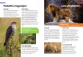 Encyklopedia zwierząt dla dzieci - tantis.pl