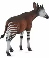 Okapi - tantis.pl