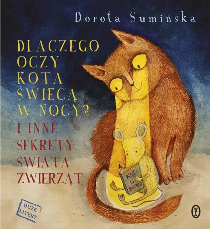 Dlaczego oczy kota świecą w nocy? - tantis.pl