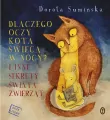 Dlaczego oczy kota świecą w nocy? - tantis.pl
