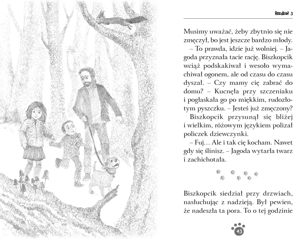 Zaopiekuj się mną. Biszkopcik, przyjacielski psiak - tantis.pl