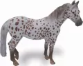 Collecta. Klacz British Spotted Pony maści kasztan Leopard XL - tantis.pl