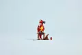 LEGO® Harry Potter. Fawkes™: feniks Dumbledore'a 76448 - tantis.pl