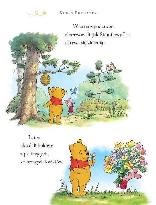 Magiczne chwile z Kubusiem Puchatkiem. Disney - tantis.pl