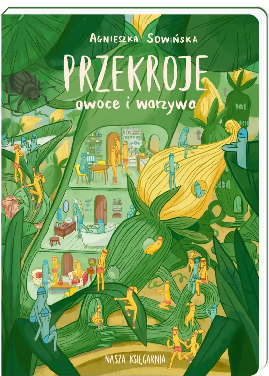 Przekroje owoce i warzywa - tantis.pl