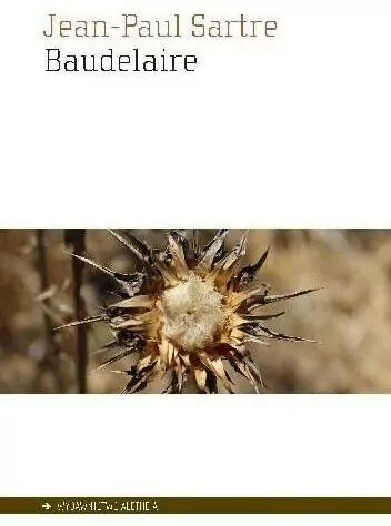 Baudelaire - tantis.pl