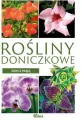 Rośliny doniczkowe. Dom z pasją - tantis.pl