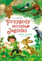 Przygody skrzata Jagódki. Leśna plotka i inne opowiadania - tantis.pl