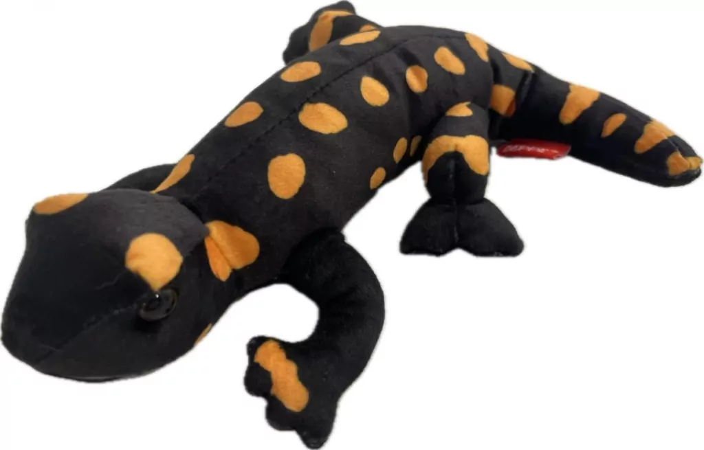 Salamandra plamista 20cm - tantis.pl