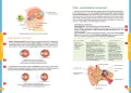 Nowe Repetytorium SP Biologia - tantis.pl