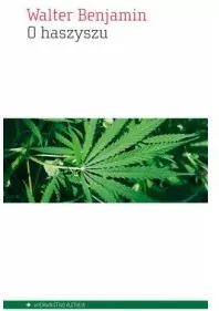 O haszyszu - tantis.pl